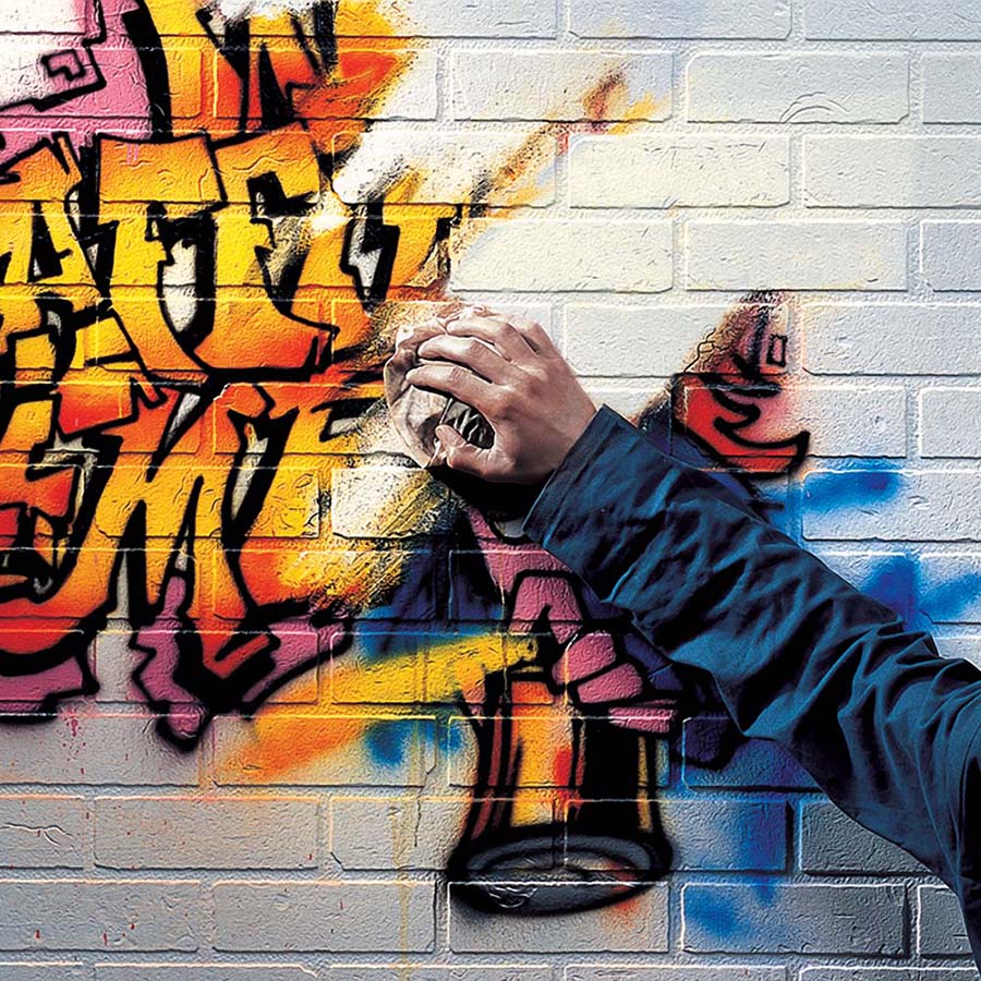 Graffitex (Anti Graffiti Paint)