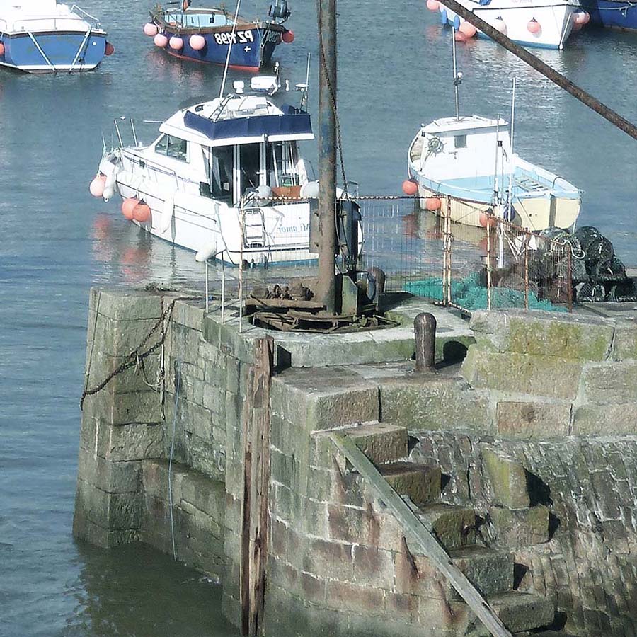 Stoneguard - Image 5